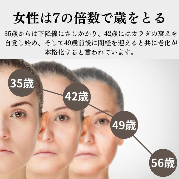 画像268
