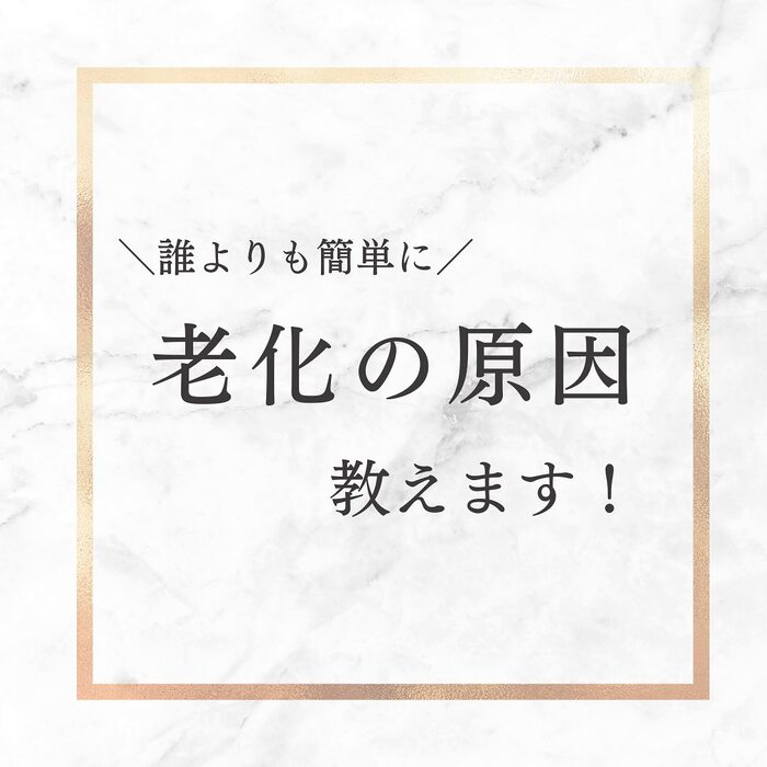 画像304