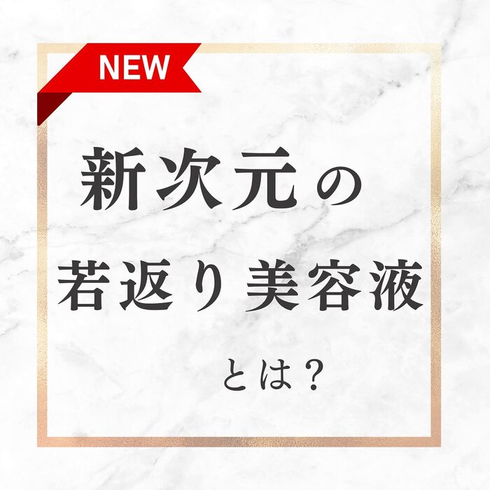 画像338