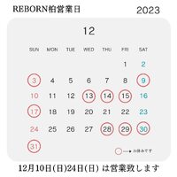画像527