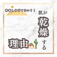 画像671