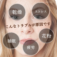 画像764