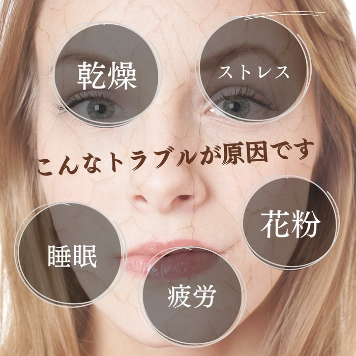 画像764